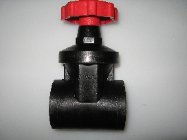 Randex Valvula Puerta. 2